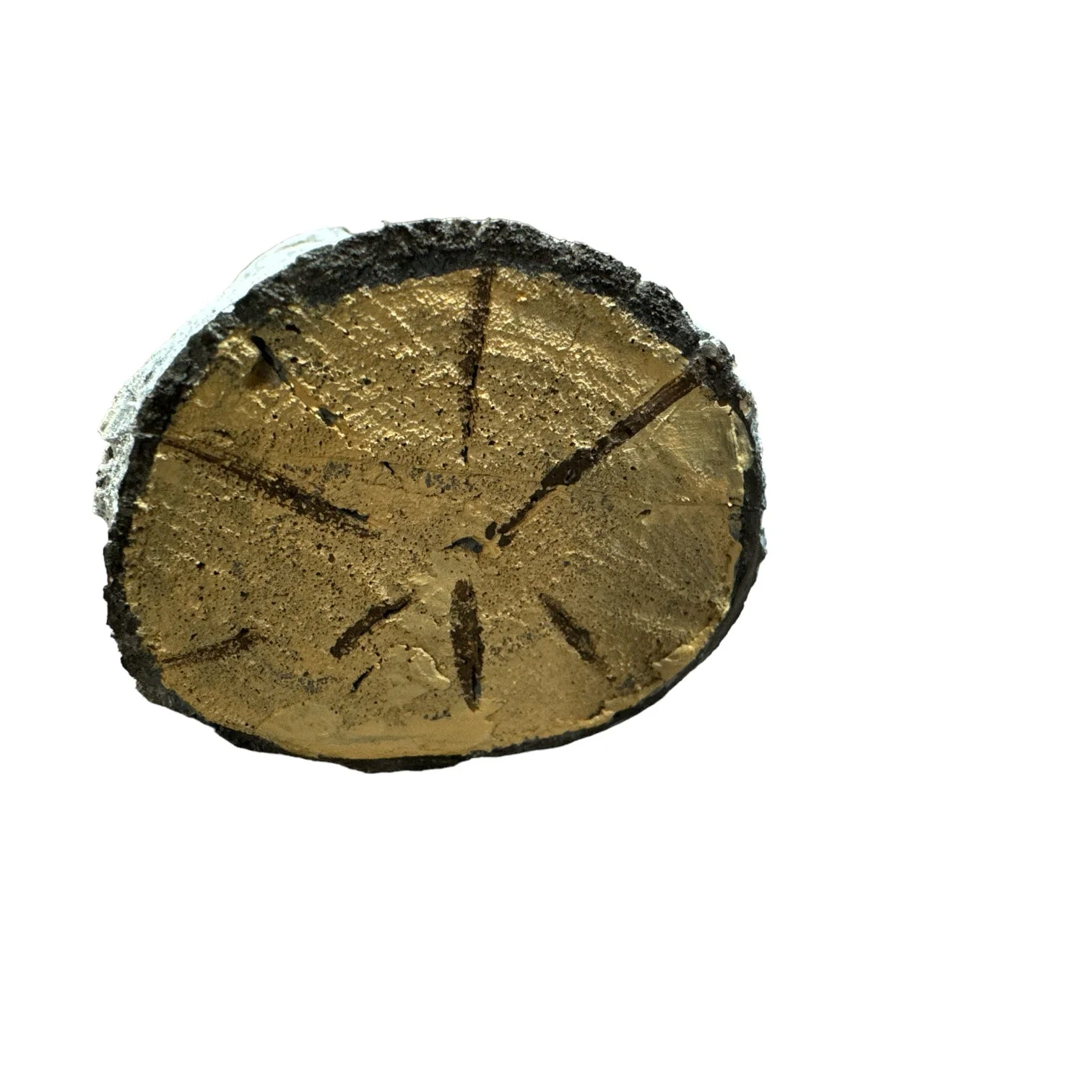 24 Inch Stunt Tree Wood Branch Flexible Foam Prop - Image 7