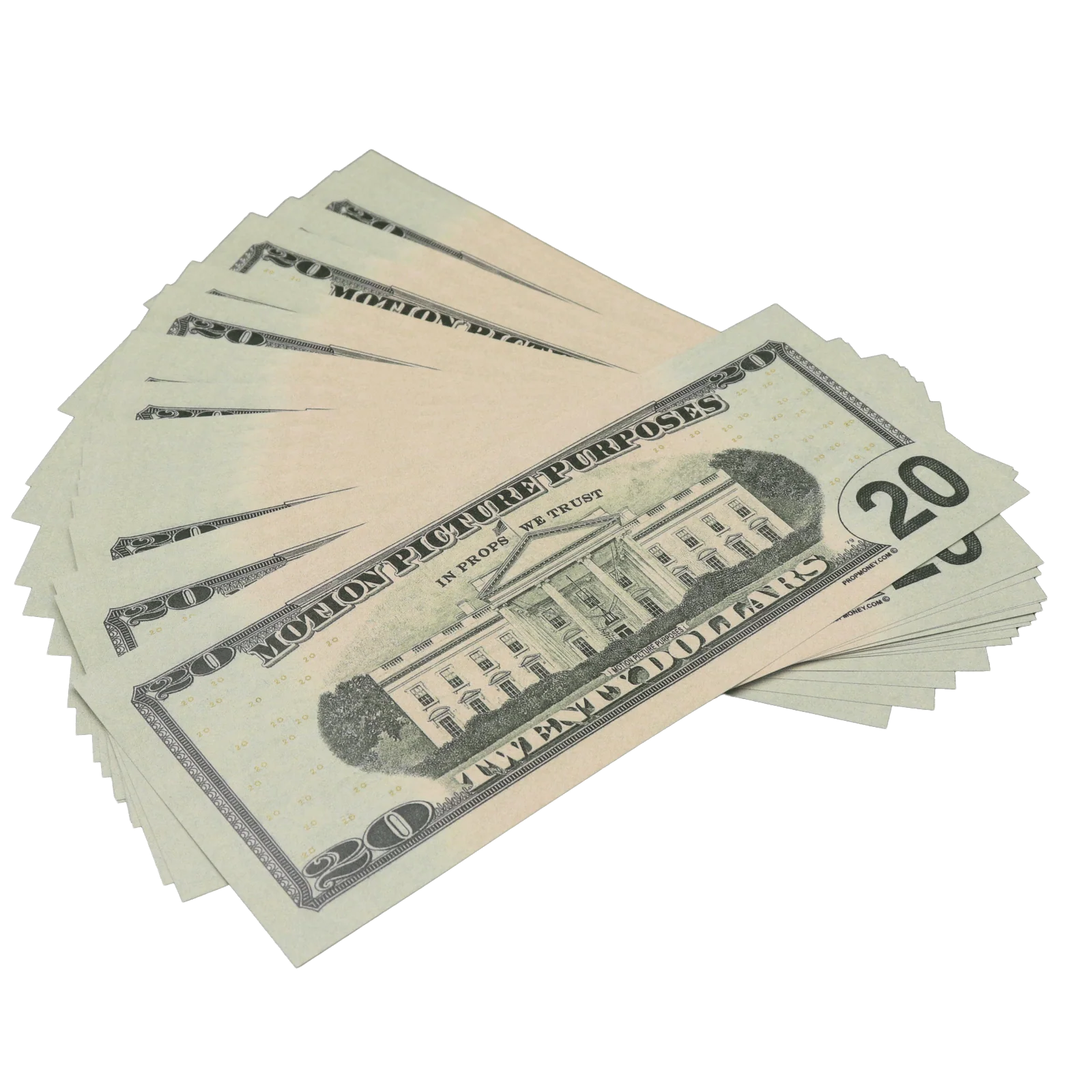 All Denomination Full Print New Series Mixed Bills Stack - Image 10