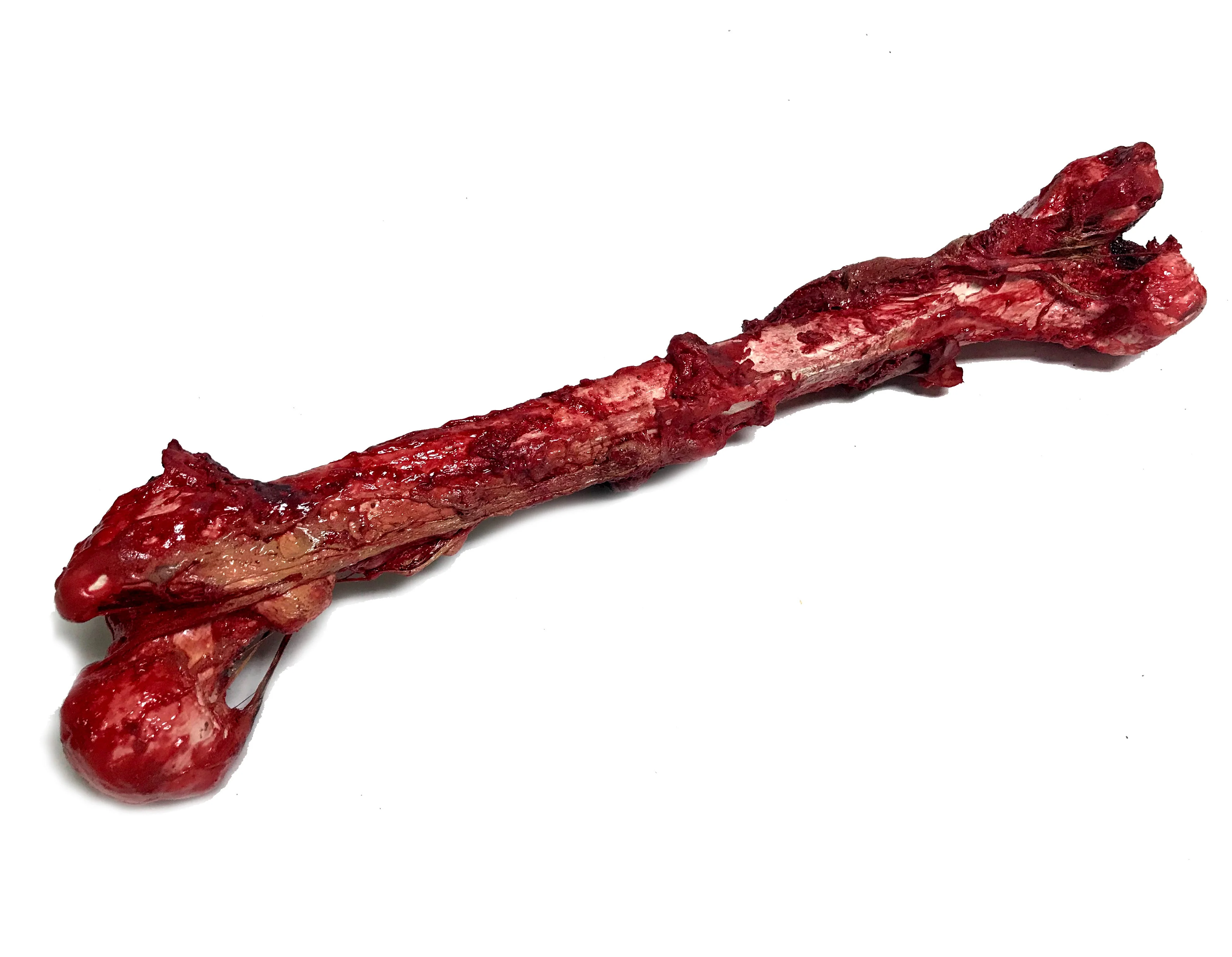 Bloody, Grisly Femur Bone Special Effects Prop with Realistic Skin and Gore - Image 2
