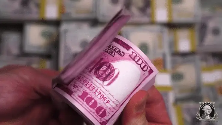 100x $100 New Series Pink Bills - Image 2